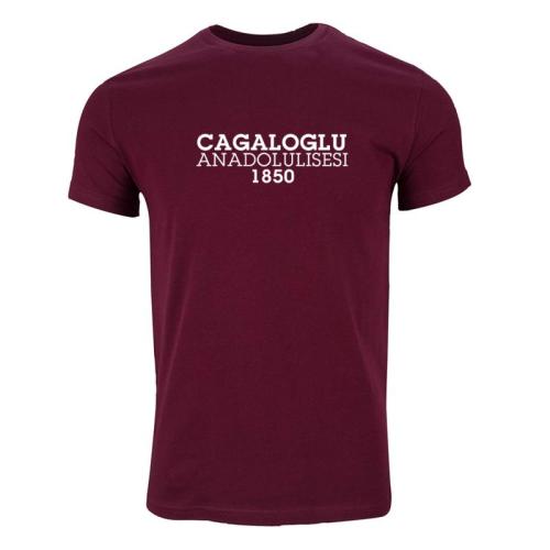 Cagaloglu Anadolu Lisesi Model 2
