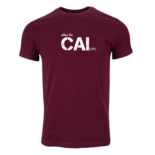 Cagaloglu Anadolu Lisesi Model 3