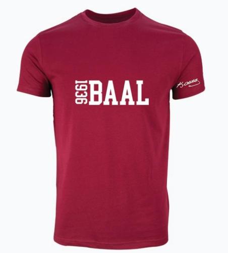 Besiktas Atatürk Anadolu Lisesi Model 2